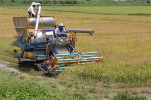 Improving the quality of agricultural products, ensuring farmers’ interests, and sustainably developing agriculture in ASEAN topped the agenda of a just- concluded international conference in Hanoi.