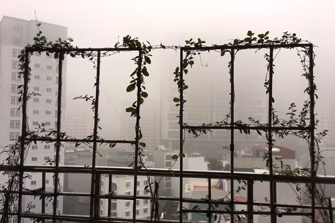 The rare misty weather made Hanoi quite romantic through the photographer's lens.
