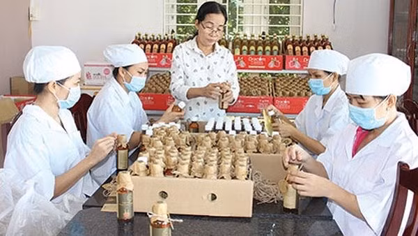 Women-owned businesses and households have created significant sources of income and material wealth for the country.