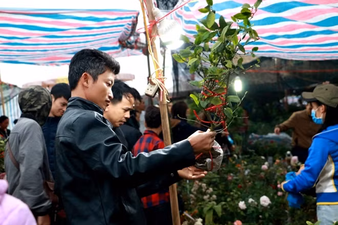 However, from the afternoon, thousands of people from all over the country had come to the market, making it chock-a-block. However, from the afternoon, thousands of people from all over the country had come to the market, making it chock-a-block.