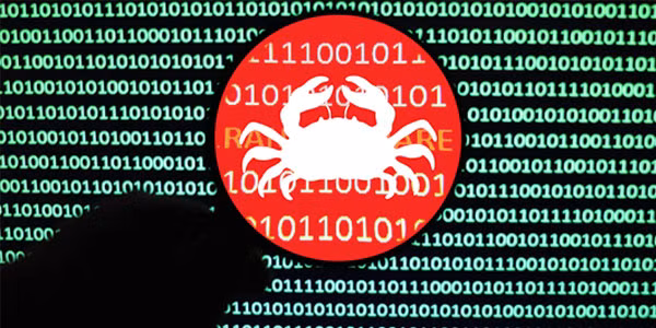 The malware is distributed through the RIG Exploit Kit. Photo: VNN