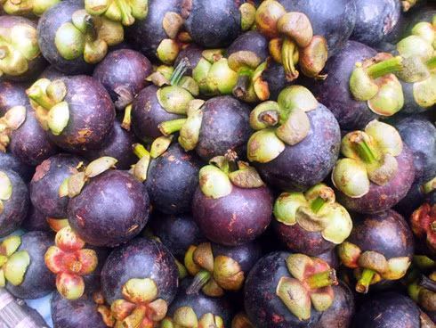 Fruit and vegetable exports are expected to reach US$2.5-2.6 billion this year.