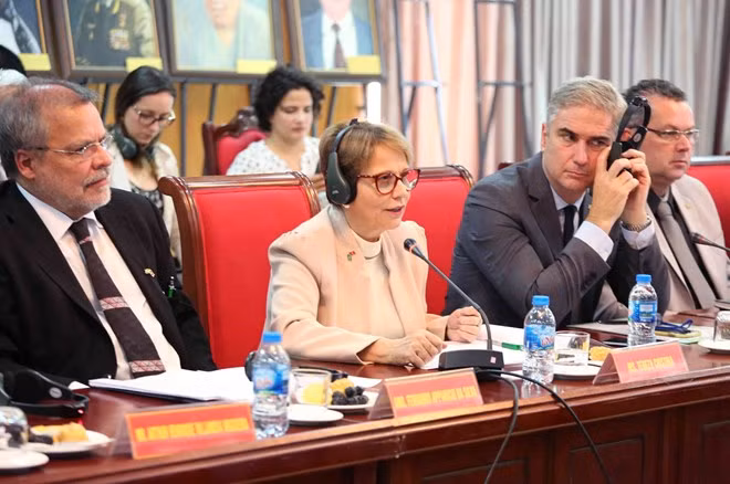 Brazilian Minister of Agriculture, Livestock and Food Supply Terresa Cristina Correa (centre) speaks at the business seminar in Hanoi on May 17 (Photo: VNA)