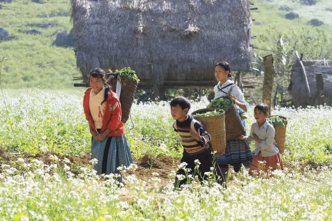 Locals bring vegetables home on a flowery path.