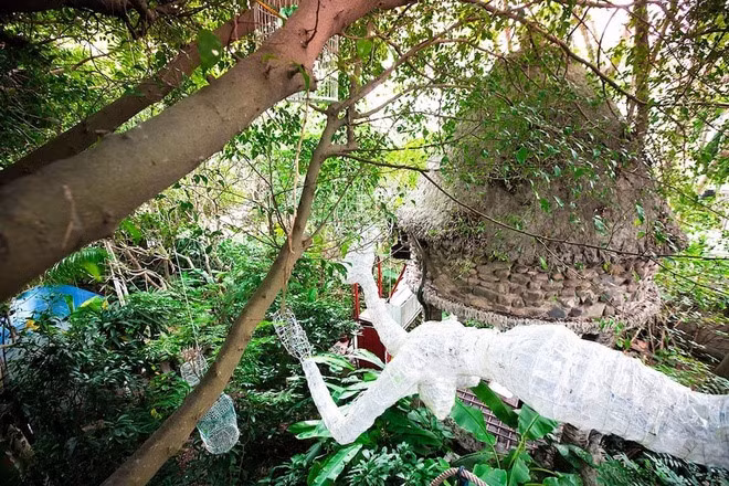 The complex comprises many small tree houses named Zen Space tree house, Cosy tree house, Tropical paradise tree house, Sky tree house, and Garden cottage and others. The complex comprises many small tree houses named Zen Space tree house, Cosy tree house, Tropical paradise tree house, Sky tree house, and Garden cottage and others.