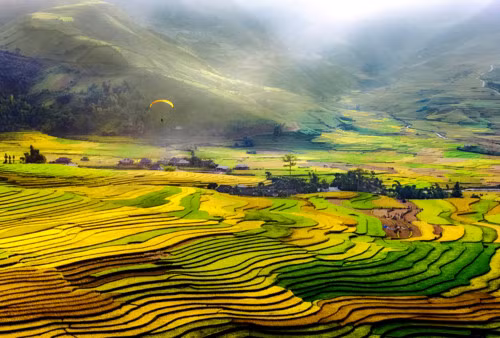Giải ba "Bay trên cánh đồng Khau Phạ" - Nguyễn Lê Phương năm 2015.