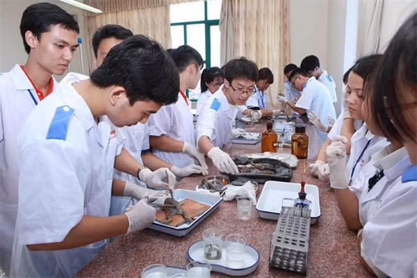 A practice session on animal parts of medical students at the Hai Phong Medical University in the northern Hai Phong City. — Photo: VNA/VNS A practice session on animal parts of medical students at the Hai Phong Medical University in the northern Hai Phong City. — Photo: VNA/VNS