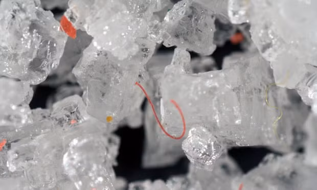 Tiny fragments and filaments of plastic in table salt crystals. Photograph: Paulo Oliveira/Alamy