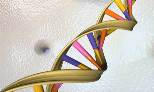 The hack was only possible because of weakness in the DNA sequencing software. Photo: Reuters