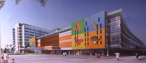 Photo of City Children's Hospital to be operational in 2017.