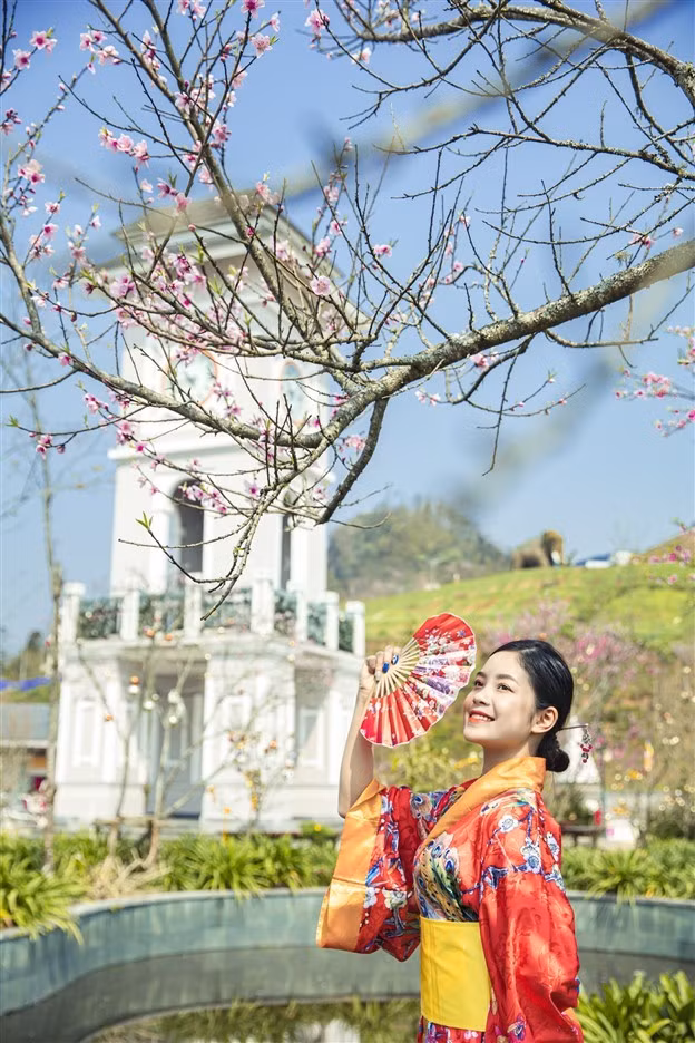 Japanese cherry blossoms spotted in Sa Pa ảnh 7