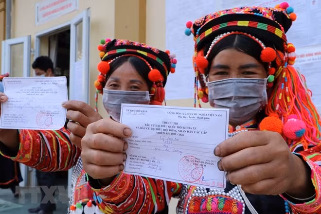 In pictures: Voters nationwide cast ballots ảnh 1