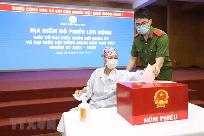 In pictures: Voters nationwide cast ballots ảnh 3