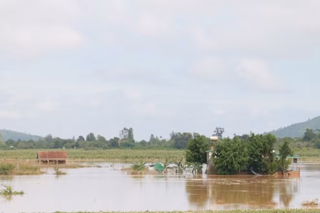 By the afternoon of November 5, hundreds of police and military soldiers and officers were deployed to the hard-hit locations to help the locals overcome their difficulties.