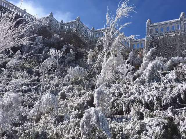Fansipan covered in frost on December 19