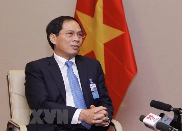 Deputy Foreign Minister Bui Thanh Son (Photo: VNA) Deputy Foreign Minister Bui Thanh Son (Photo: VNA)