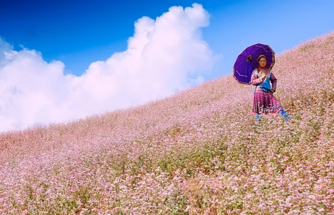 "Tam Giac Mach" in Ha Giang. Photo: giadinhvietnam.com