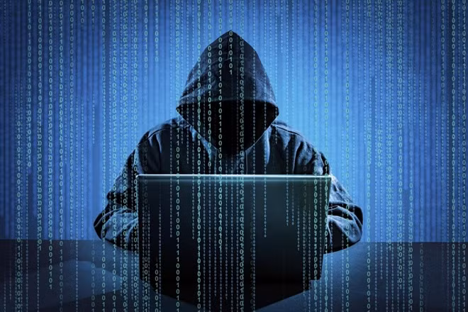 They include 55 websites with domains of .vn; 10 of governmental agencies and organisations (.gov.vn); and 98 with domains of .com.