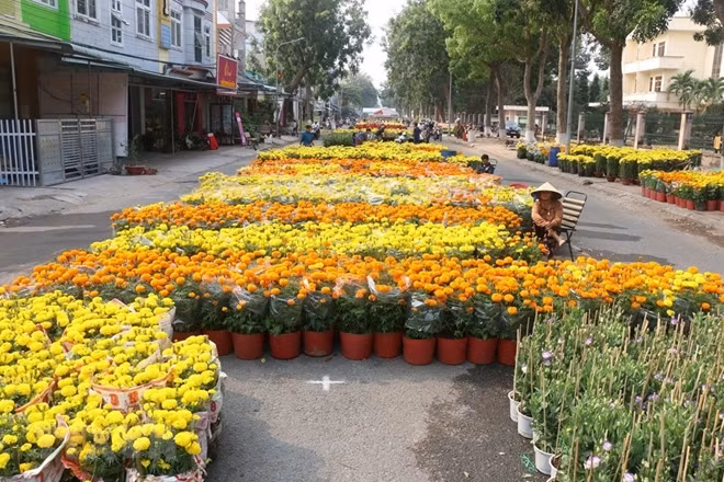 Flowers like chrysanthemums, daisies, marigolds and roses have been growing well.