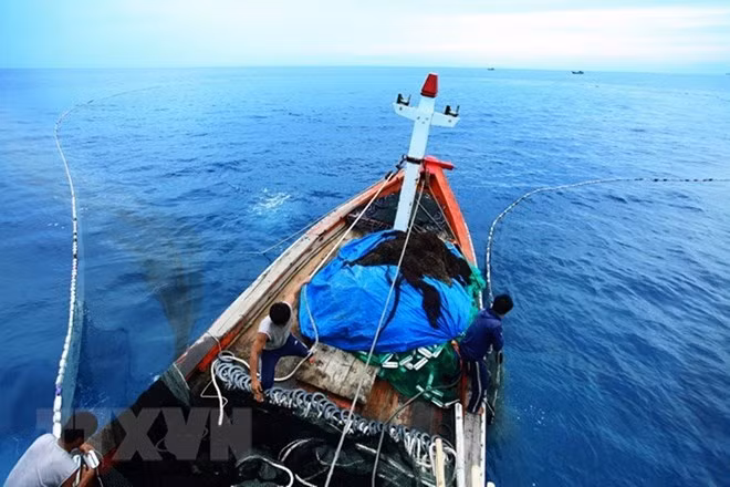 A fishing boat of Vietnam (Photo: VNA) A fishing boat of Vietnam (Photo: VNA)