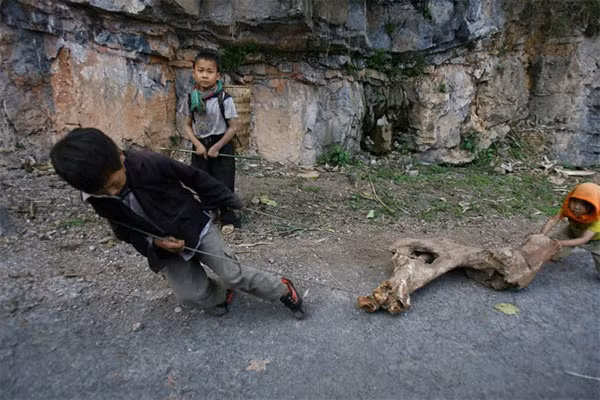 A child collects wood after finishing school in Mu Cang Chai District in the northern province of Yen Bai. – VNS Photo Viet Thanh