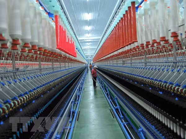 A factory of the Lam Giang Yarn Company (Photo: VNA)