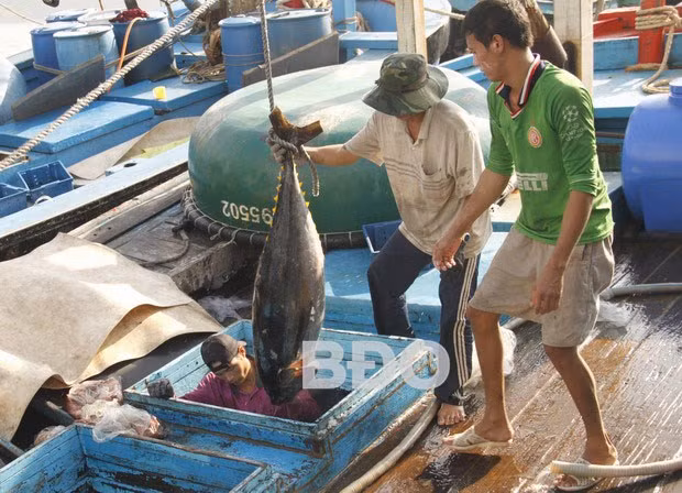Illustrative photo (Source: baobinhdinh.com.vn)