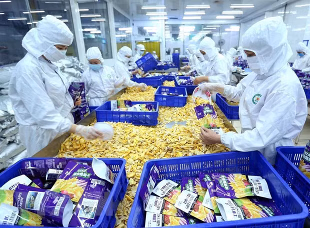 Romania is a market of great potential to Vietnam’s exports. Illustrative image (Photo: VNA)