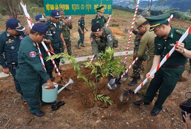 Competent forces of Vietnam, Laos and Cambodia are planting friendship trees at the Vietnam-Laos-Cambodia border T-junction (Photo: VNA)