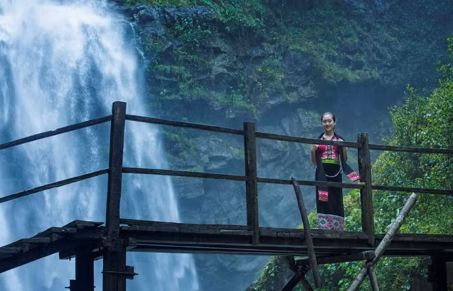 The waterfall is surrounded by a thick carpet of flora. Different kinds of flowers blossom all year round