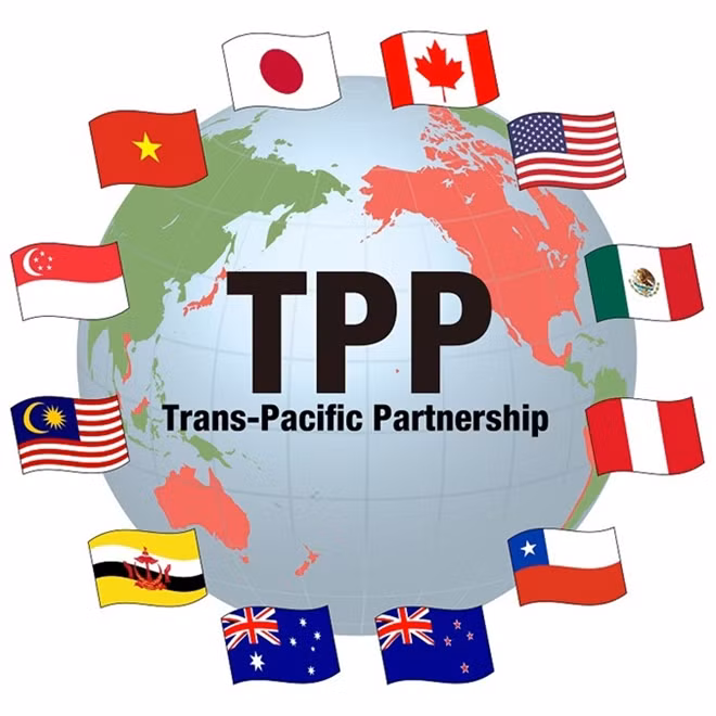 Among the new-generation free trade agreements of Vietnam, the TPP and the Việt Nam-EU FTA (EVFTA) are considered the two with the most significant impact for trade and investment policies. VNS File Photo