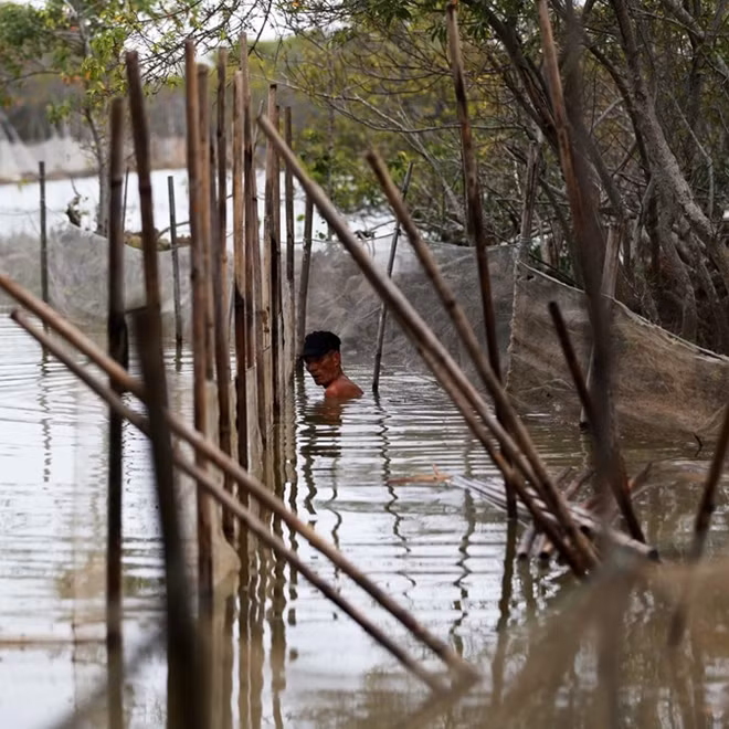One of the two only residents of the islet working hard.