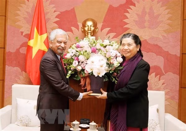 Permanent NA Vice Chairwoman Tong Thi Phong (R) and UN Resident Coordinator in Vietnam Kamal Malhotra (Source: VNA)