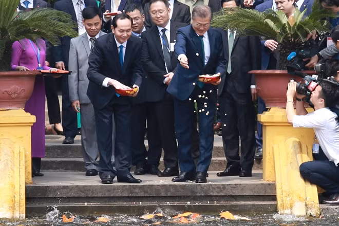 Feeding fish in the Presidential Palace Historical Site