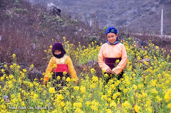 Taking part in special and colourful festivals of Mong and Lo Lo ethnic minority groups