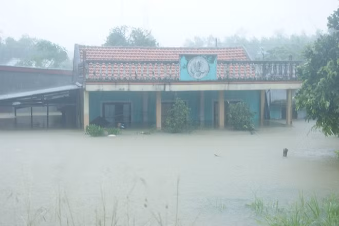 Most hospitals and schools like this one were also submerged.