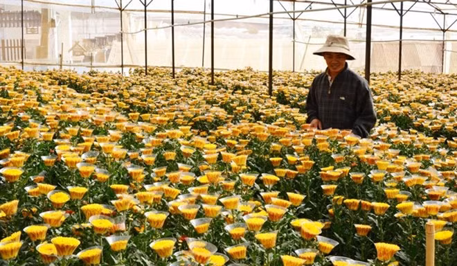 Micro, small and medium enterprises businesses are defined as the engines of growth and innovation in the APEC region, alongside the two important areas of agriculture and innovative startups (Photo: ipsard.gov.vn)