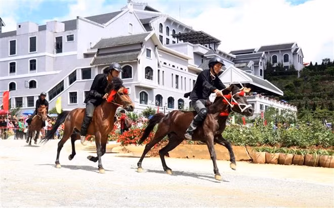 Horse riders compete at the race.