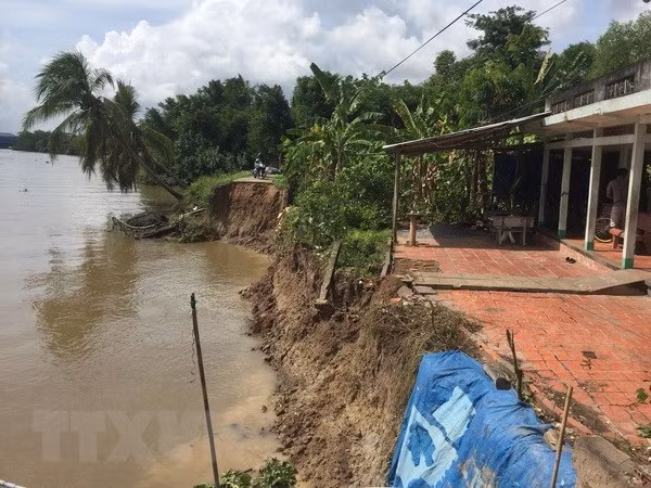 A river bank erosion site in My Duc Dong commune of Cai Be district, the Mekong Delta province of Tien Giang (Photo: VNA)