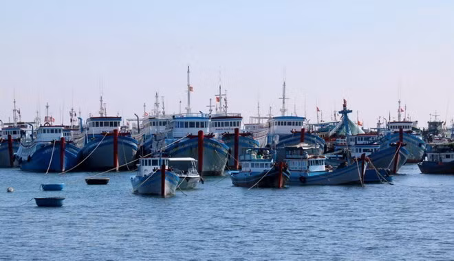Fishing boats of Vietnam (Photo: VNA)