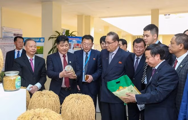 Vice Chairman of the Workers’ Party of Korea of DPRK Ri Su-yong shows his interest in Vietnam's farming techniques applied in the cultivation of food crops.(Source: VNA)