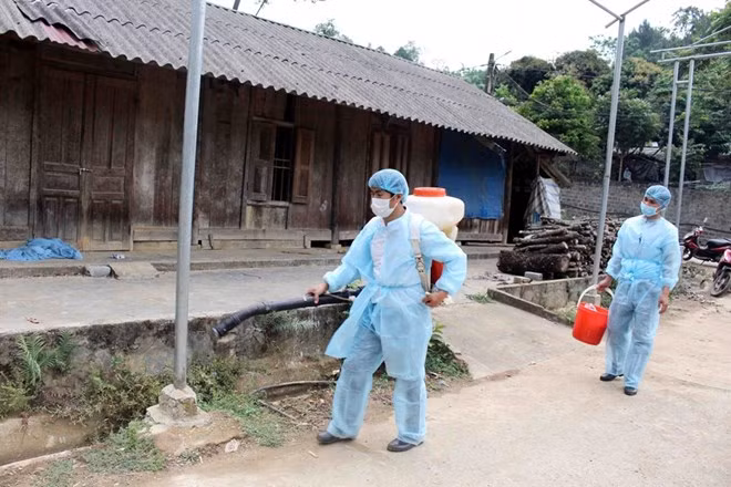 Health workers sanitise the area around the house of Nguyen Van Can, the farmer involved in Lai Chau Province’s first reported African swine fever incident. (Photo: VNA) Health workers sanitise the area around the house of Nguyen Van Can, the farmer involved in Lai Chau Province’s first reported African swine fever incident. (Photo: VNA)