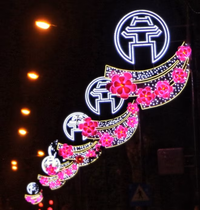 Peach blossom-themed LED lights are hung up on main streets in Hanoi.