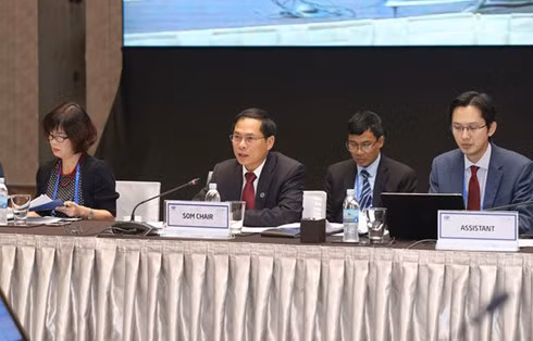Deputy Foreign Minister and APEC 2017 SOM Chair Bui Thanh Son (second, left) speaks at the SOM 1 on March 3 Deputy Foreign Minister and APEC 2017 SOM Chair Bui Thanh Son (second, left) speaks at the SOM 1 on March 3