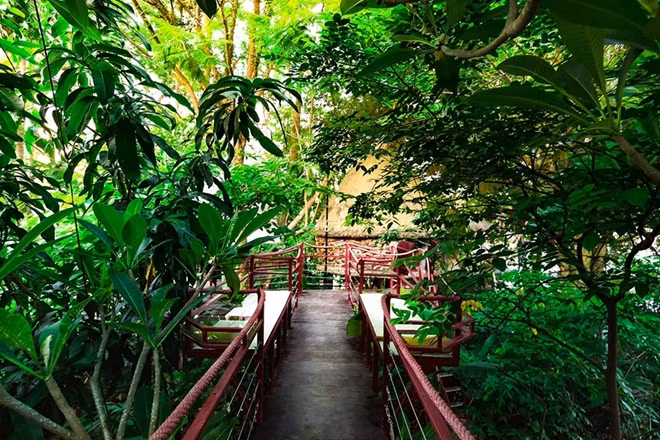 The project was planned by Dao Anh Khanh and its construction started 20 years ago in an area of 2,500 m2. All works were completed in many years.