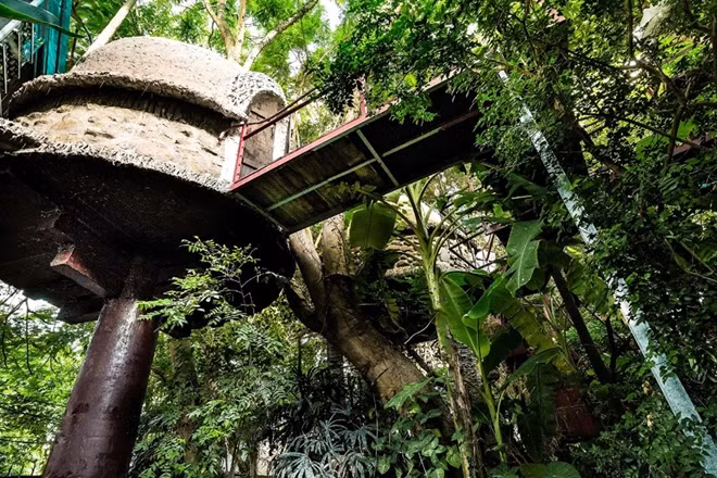 Art meets Nature.