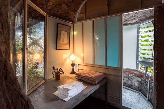 Dao Anh Khanh fully understands characteristics of trees, chooses and takes good cares of each tree to preserve its natural beauty as well as function and safeness of the house.