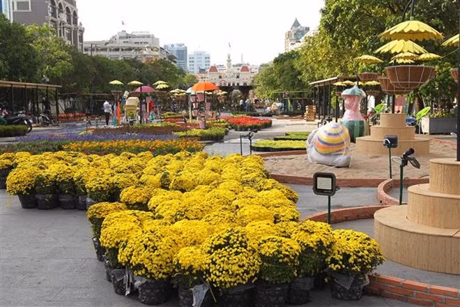 A corner of the Nguyen Hue flower street (Photo: VNA)