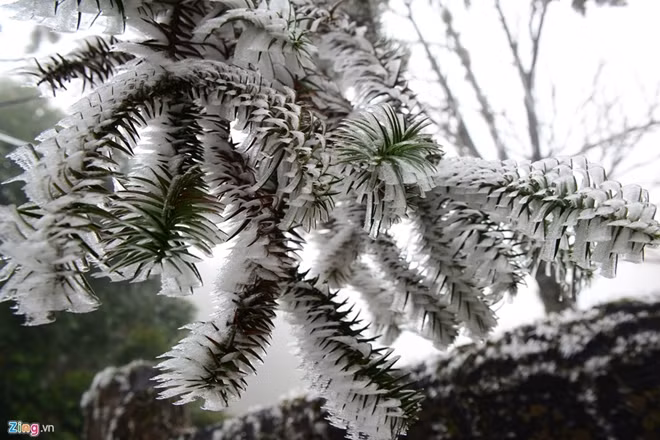 Frosts and ice were seen in various tops of mountains. Photo: Zing