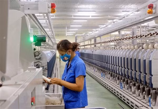 With certain advantages, Vietnam has been the destination for many multinational businesses to seek processors, and processing in turn have become a major growth engine of the economy (Illustrative photo: VNA)